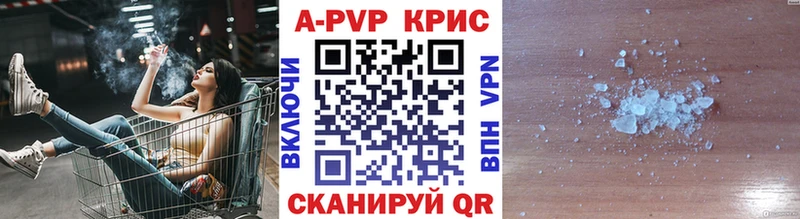 A PVP СК КРИС  Кингисепп 