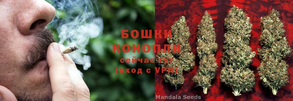 молекула духа Володарск